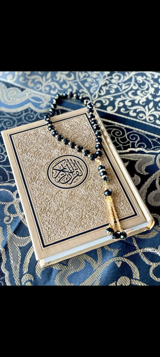 dmsa786's tweet image. 🤍Assalamualaikum🤍
🔮Subah bakhair X family🔮
✨Follow for 1000 % follow back✨