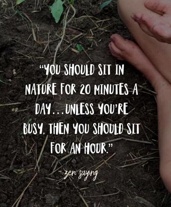 Find some time to relax in #nature today and notice the changes in your landscape with the advent of #Spring It’s a great time to re-charge and enjoy the new green shoots and morning and evening birdsong 🐦#Natureconnection #Wellbeing #Mindfulness #Wednesdayvibes