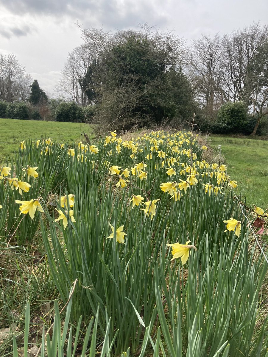 Debsborough tweet media