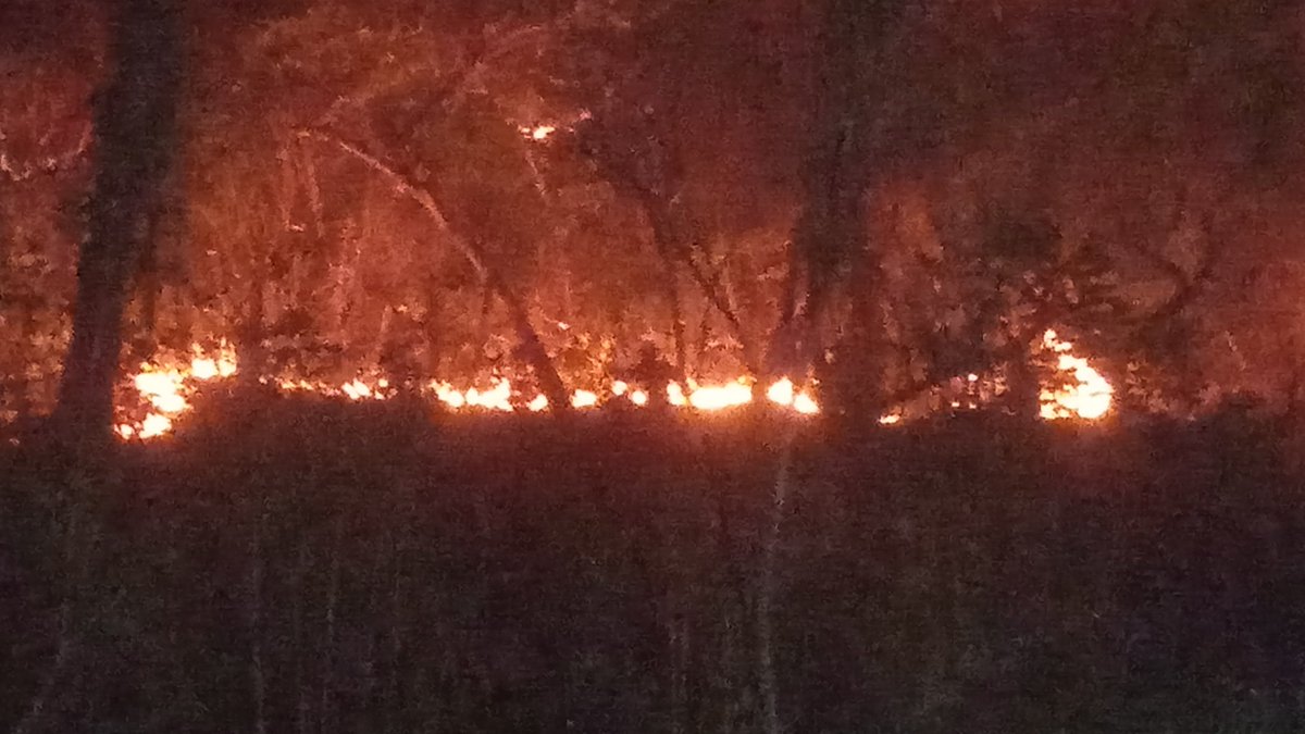 27/03/2024 03:10 HLV
Incendio Forestal

Cerro El Café, Urbanización El Naranjal, municipio #Naguanagua

Bomberos UC, PC Naguanagua, Bomberos Forestales, Rescate Naguanagua, BR Sólo Emergencias

<a href="/bomberuc/">Bomberos de la Universidad de Carabobo</a> 
47 años al servicio de la comunidad