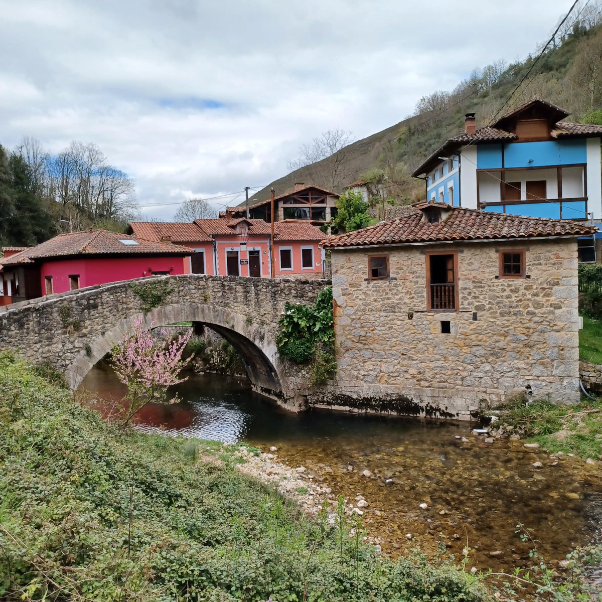 JavierBarrado1's tweet photo. Hola, amigos:
Saludos desde La Riera, Somiedo.
#LaRiera #Somiedo #Asturias https://t.co/9CoasNTgF5