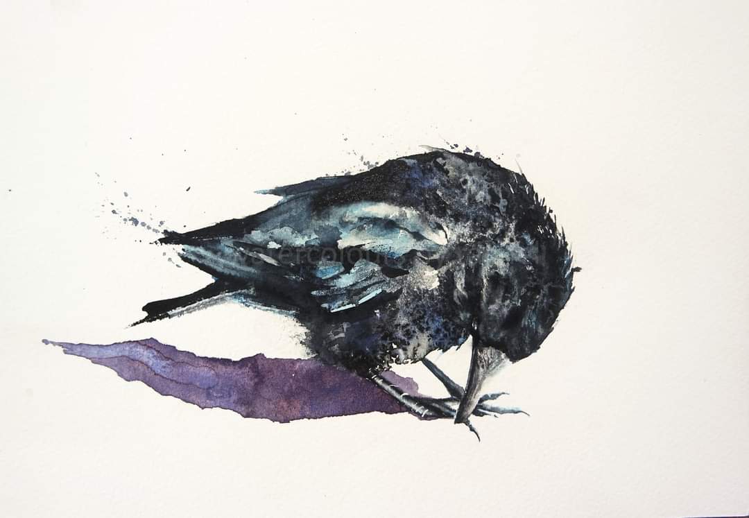 Off to London today to the Private View of the RI of Painters in Water Colours at the @mallgalleries Galleries Looking forward to meeting some fellow watercolourists and seeing my painting in a London Gallery Whatever you're up today Happy Wednesday x #watercolour #crow #art