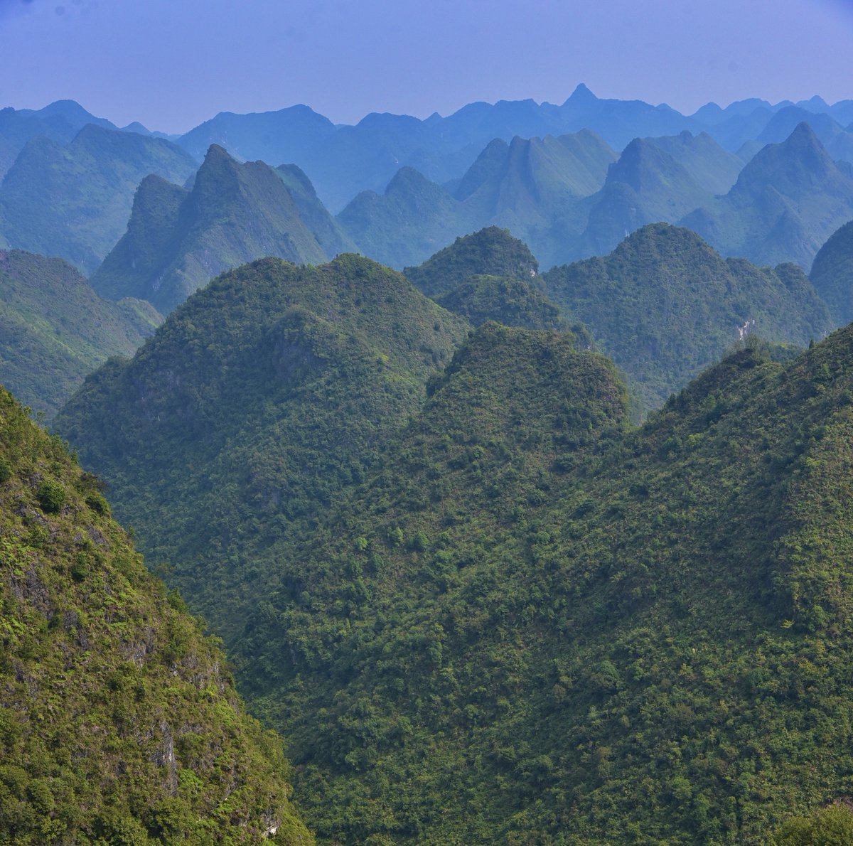 📅EXTENDED DEADLINE:We accept abstract submissions for our SI 'Exploring Karst Biodiversity:Ecological, Evolutionary, and Conservation Perspectives' until 30 June.Send your abstract to njb@oikosoffice.lu.se nordicjbotany.org/blog/call-pape… @WileyEcolEvol @NordicOikos #Karst #biodiversity