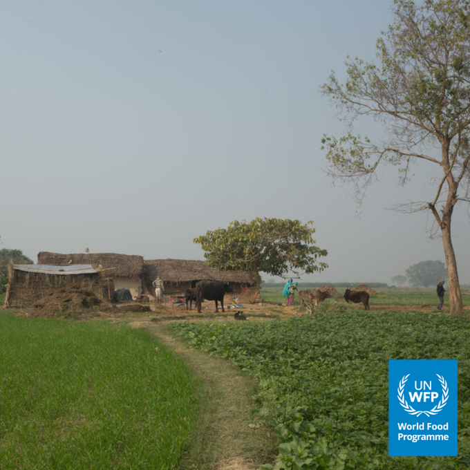 Prone to powerful earthquakes and recurring floods, Nepal bears the heavy brunt of the climate crisis, posing a threat to vulnerable families. Thanks to the EU’s support, @WFP is assisting the Government of Nepal in its emergency response and preparedness efforts.