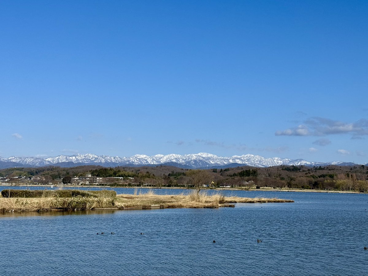 天気も良く春を探しながら木場潟ラン
今日は新幹線から白山の景色も楽しめますね
