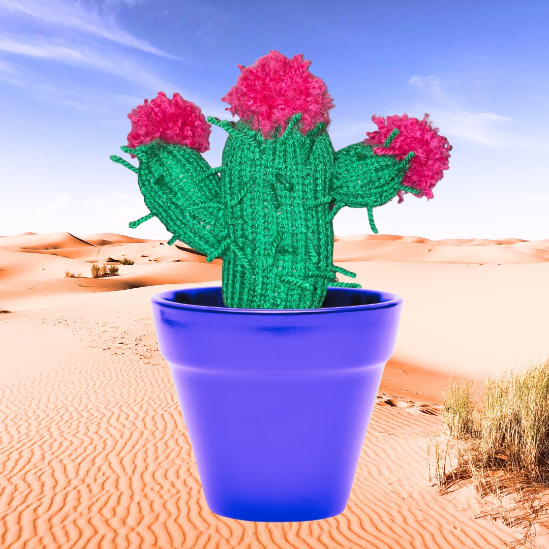 SistersThat's tweet photo. Celebrate MEXICO INDEPENDENCE DAY with us. https://t.co/OwpuUWJ1GA
#Mexicoindependenceday #celebratewithus #cactuspattern #knittingpattern #desertknitting #cactuslove #sistersthatstitch https://t.co/YQBE1JfvHP