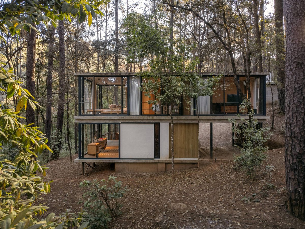 Casa Cono, maison nichée au milieu d’une forêt au Mexique Visite guidée en images ici : bit.ly/4azoyaV #architecture #modern #house #home #trees #forest #nature #Mexico