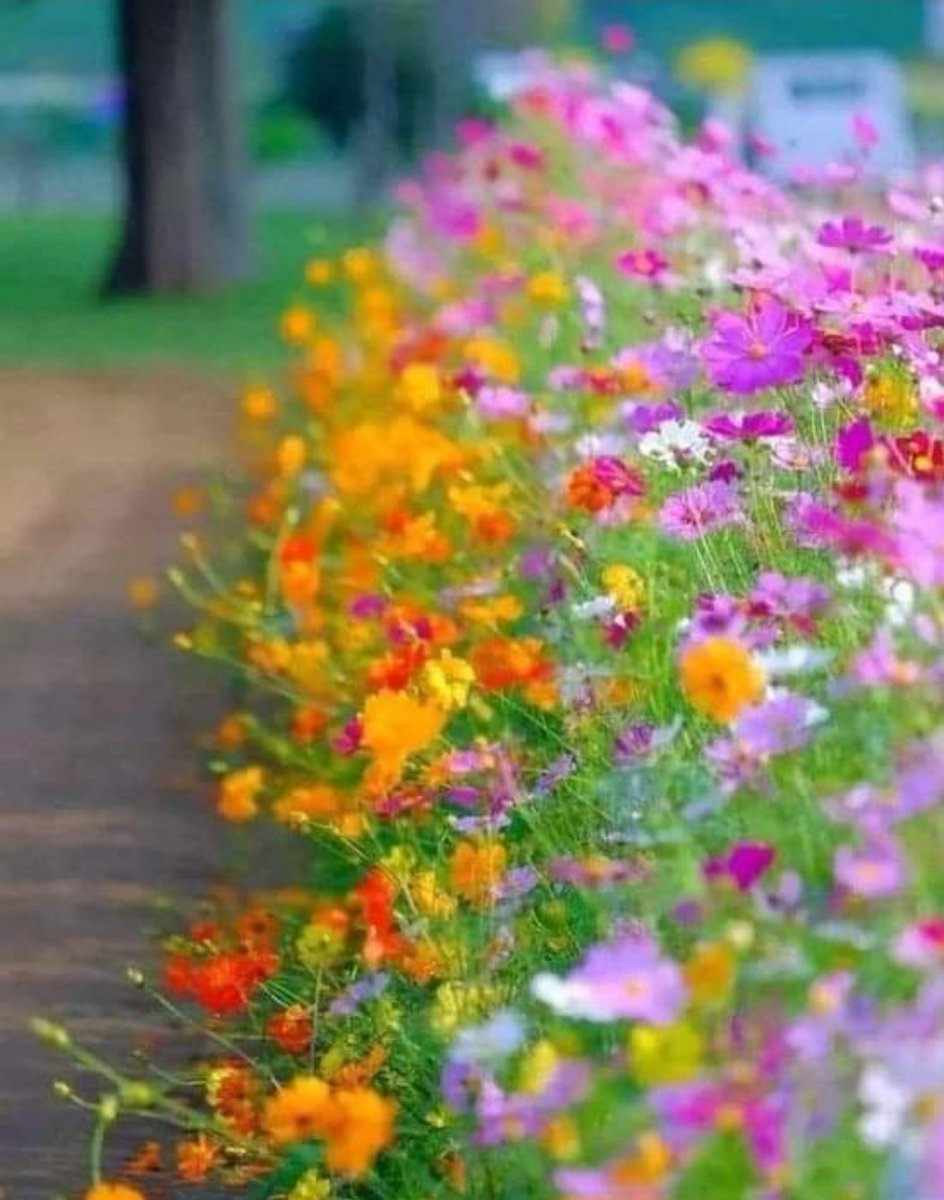 NonyXXXX's tweet photo. It's not about perfect. It's about effort. And when you bring that effort every single day, that's where transformation happens.
 
May you greet this day by being grateful; by being at peace with yourself; and by doing an effort to make decisions and take actions that help you to grow and thrive. Happy Wednesday! ❤☀