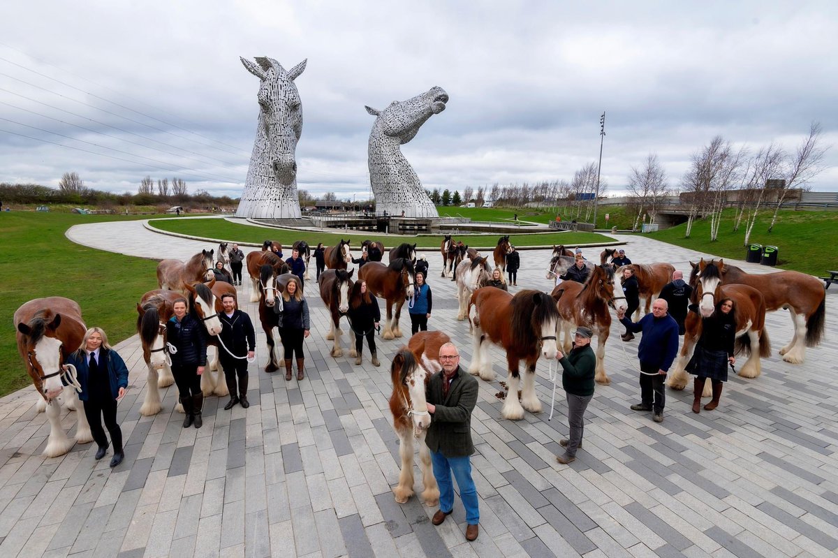 Great pic!

A mass gathering of heavy horses assembled at Scotland's iconic Kelpies structures yesterday to celebrate the forthcoming 10th anniversary of the artworks

𝘐𝘔𝘈𝘎𝘌: 𝘗𝘦𝘵𝘦𝘳 𝘚𝘢𝘯𝘥𝘨𝘳𝘰𝘶𝘯𝘥