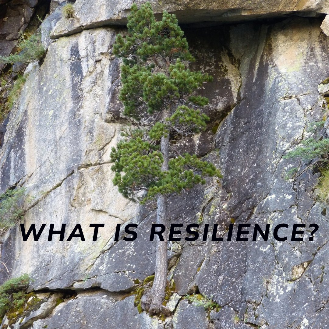 What does resilience mean to you?

In our Teach-In series, we look at resilience from multiple different angles, and why is it so important in this age of climate crises we are all living in. 

FREE access to various talks with leading experts. 

gaiaeducation.org/resilience-onl…