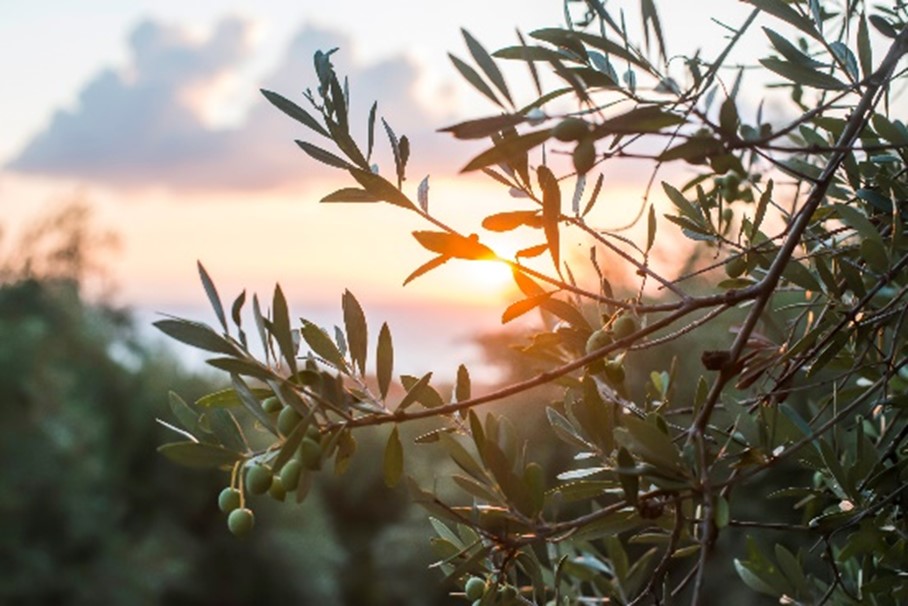 The future of the EU Nature Restoration Law (#NRL) remains uncertain. An @EngineerIreland presentation by Karen Dubsky, @coastwatch_ire, will cover the urgency of restoring nature and the milestones our governments are committed to. engineersireland.ie/Events/event/9…