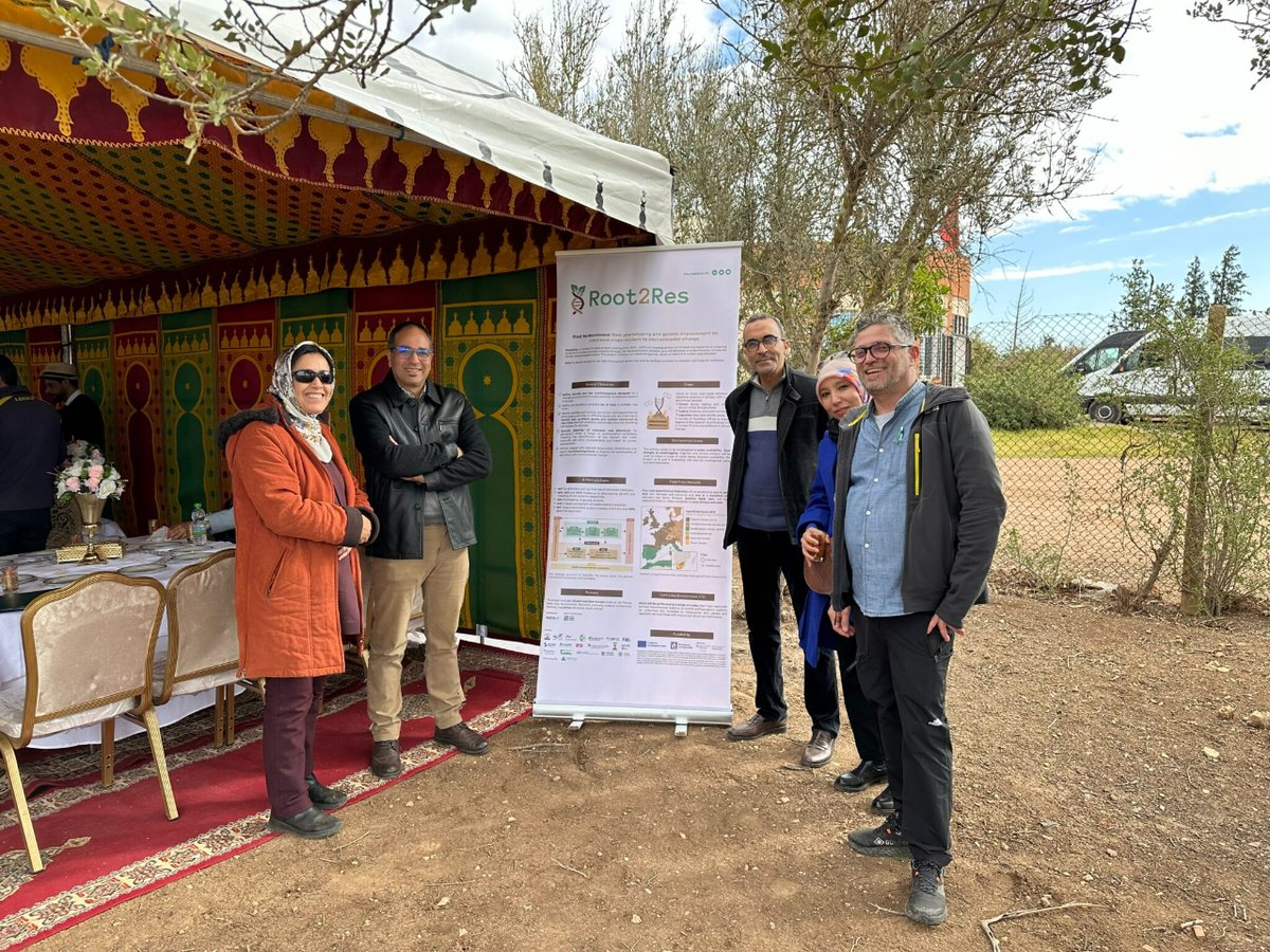 Exciting insights from our recent workshop in Morocco! Collaborating with @ICARDA, we explored precision phenotyping and root system analysis. From innovative platforms to machine learning, our event showcased new technologies reshaping crop assessment.🌱 lc.cx/0iY6gD