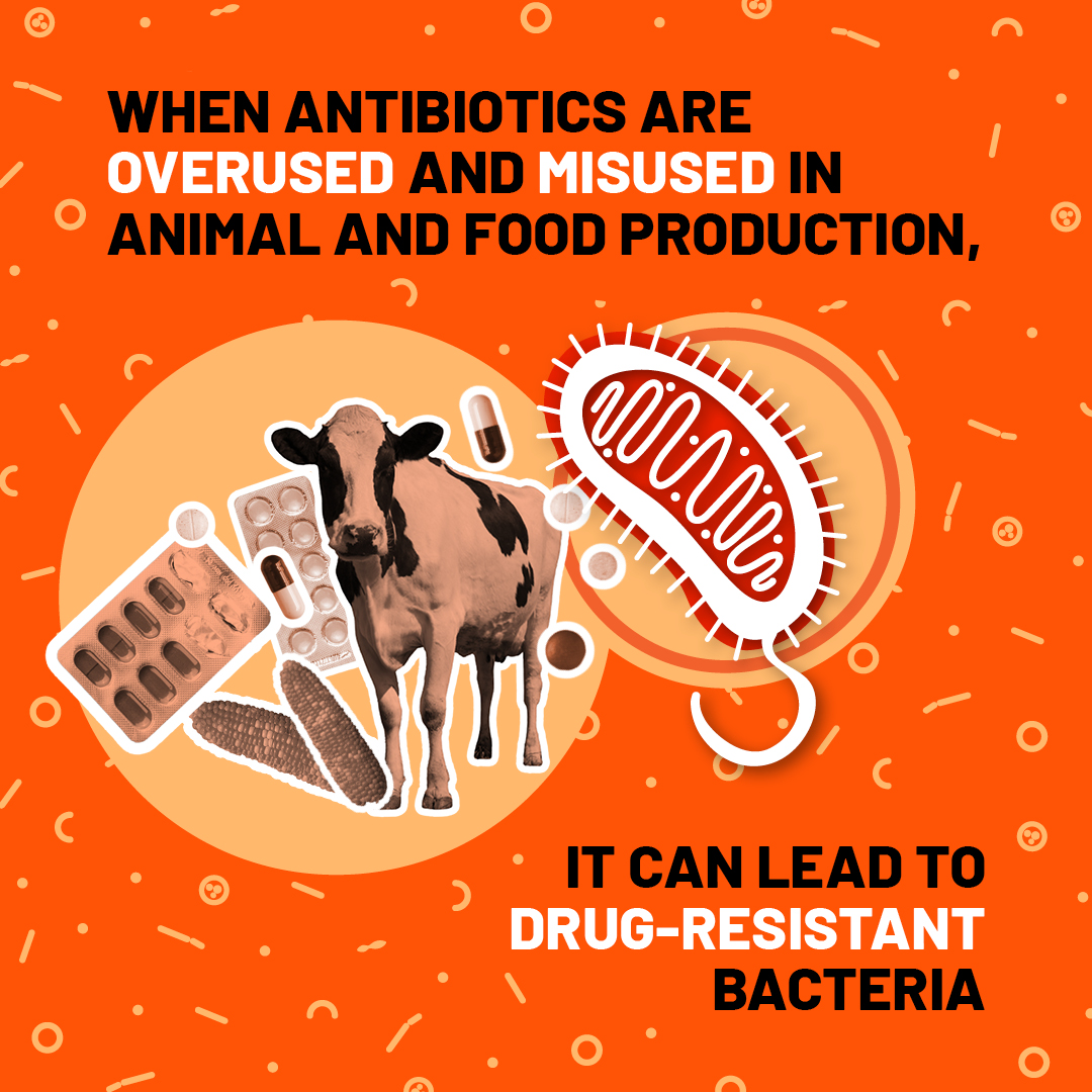 When antibiotics are overused in food production, resistance is on the rise. Let's be mindful consumers and support practices that prioritize both health and sustainability. 🌱💊 #AntibioticStewardship #FoodSafety #AMRAwareness #amrwise