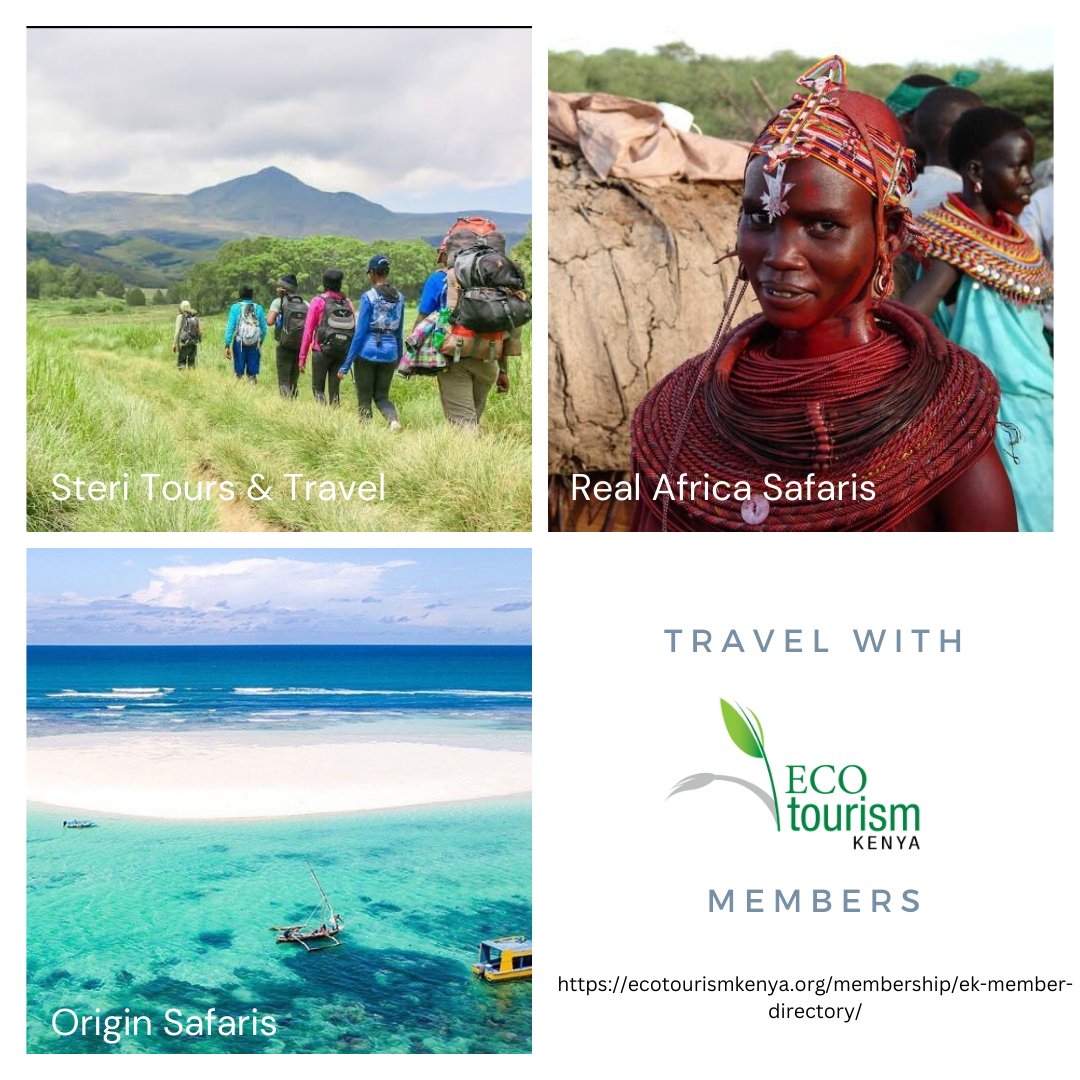 #MemberSpotlight

🌍Discover a community dedicated to integrating #responsibletourism practices into their operations while providing an array of eco-friendly travel products and services.

🌍This month, we highlighted @steritours_ke,   @REALAFRICALTD and @originsafaris. 
+