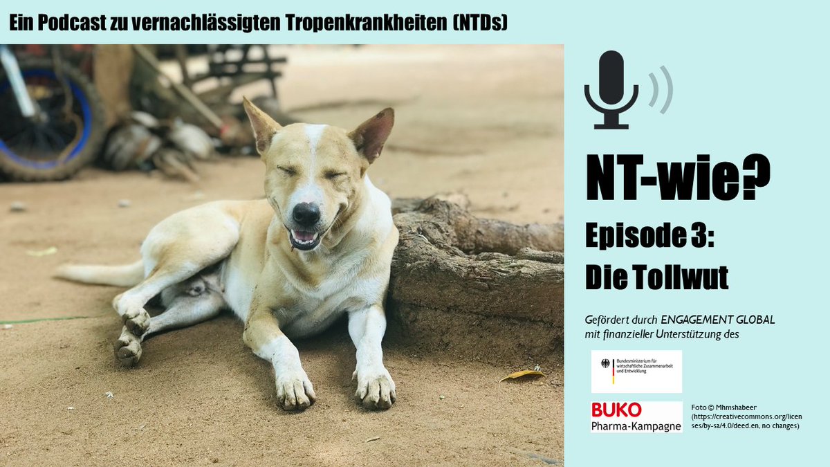 Unsere dritte Podcast-Folge zu #NTDs ist online🥳 Dieses Mal sprechen wir mit Otto Michael Ben von @ToGeV über #Tollwut. Hört gerne rein🎧🎶⬇️ tinyurl.com/2ylgttkk