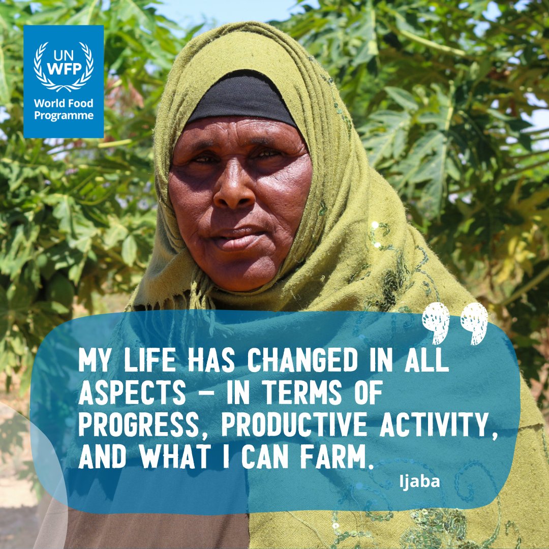 For Ijaba, the Kobciye project, which supports smallholder farmers in #Somalia, means she has a more resilient way of earning income and can provide for her family. Thank you to @EU_in_Somalia🇪🇺 for the support.