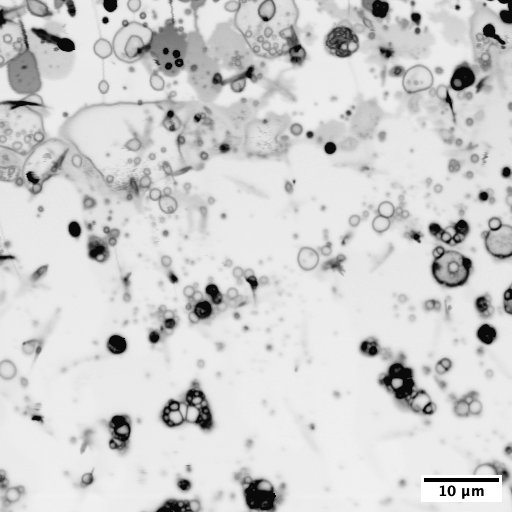 Are you a UG student interested in the origin of life and protocells? Apply now for a Summer Research Internship (paid) with me here in @DCU !

Full details at the link:

dcu.ie/science-and-he…

@oolen_org #originoflife #astrobiology #AcademicChatter #researchopportunity