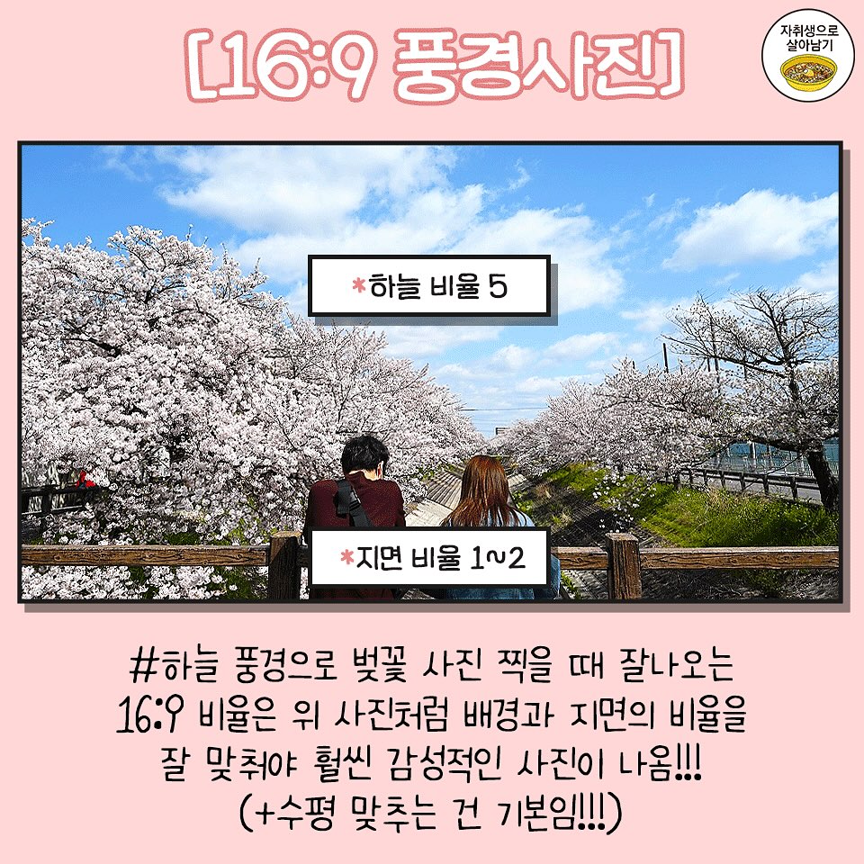 올해 벚꽃사진은 제발 이렇게만 찍어주세요