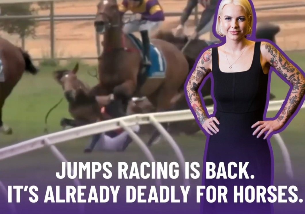 'This footage might upset you.

It certainly upsets me.

3 horses fell on the very first day of Victorian jumps racing this year ...

It's time for the government to get a grip & #ShutItDown' ...
-@georgievpurcell