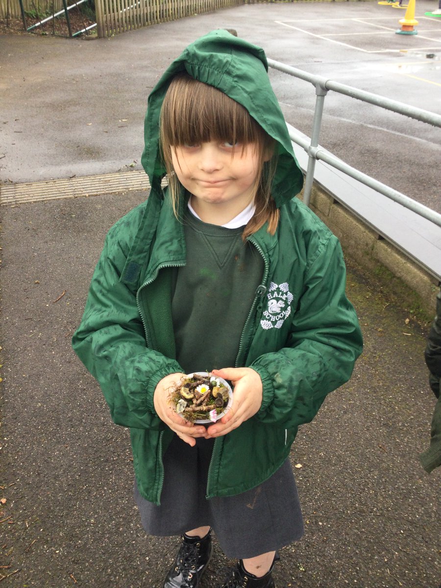 Hale Primary School tweet media