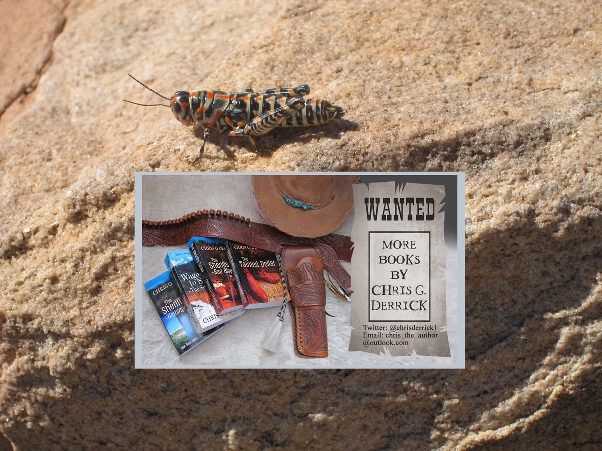 chrisderrick1's tweet photo. The Tainted Dollar.
https://t.co/pdb8tZ873w
#JakeBase - a unique lawman.
One who finds himself not being accepted by either white men or the native Americans.
Why not ride along on this his first #adventure?
#Texas #western #Laredo https://t.co/p6NQ1vPF2Z