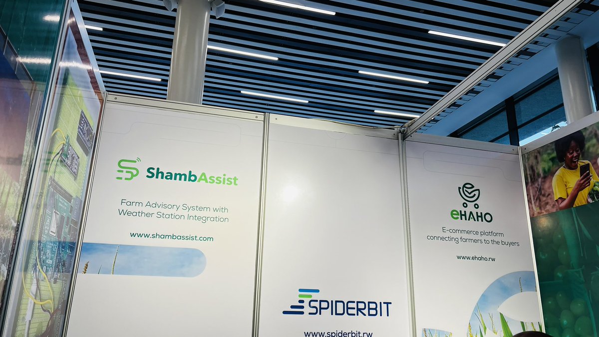 IBMA Conference tweet media