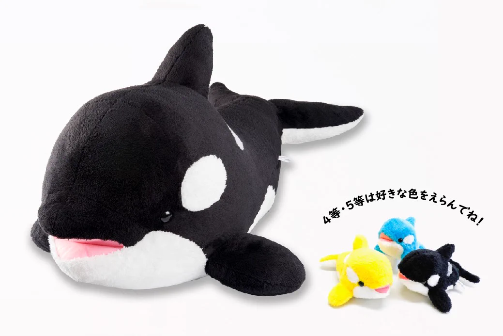 【美品】鴨川シーワールド　シャチぬいぐるみ（100cm） GJqdVd7aUAA8vRY?format=webp&