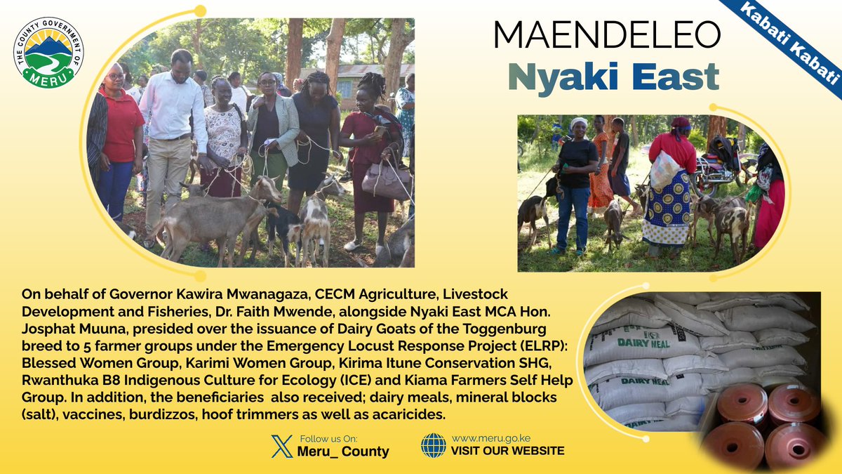 On behalf of Governor Bishop Kawira Mwangaza, CECM Agriculture, Livestock Development and Fisheries Dr. Faith Mwende, Leads Toggenburg Dairy Goat Distribution in Nyaki East Ward: Empowering 5 targeted groups.