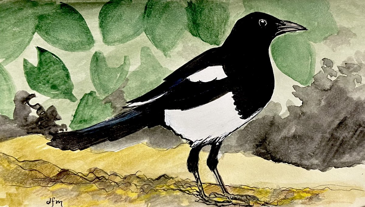 This month's bird is the Eurasian Magpie #Magpie 🐦‍⬛ @BirdWhisperers #birds #BirdWhisperer #art