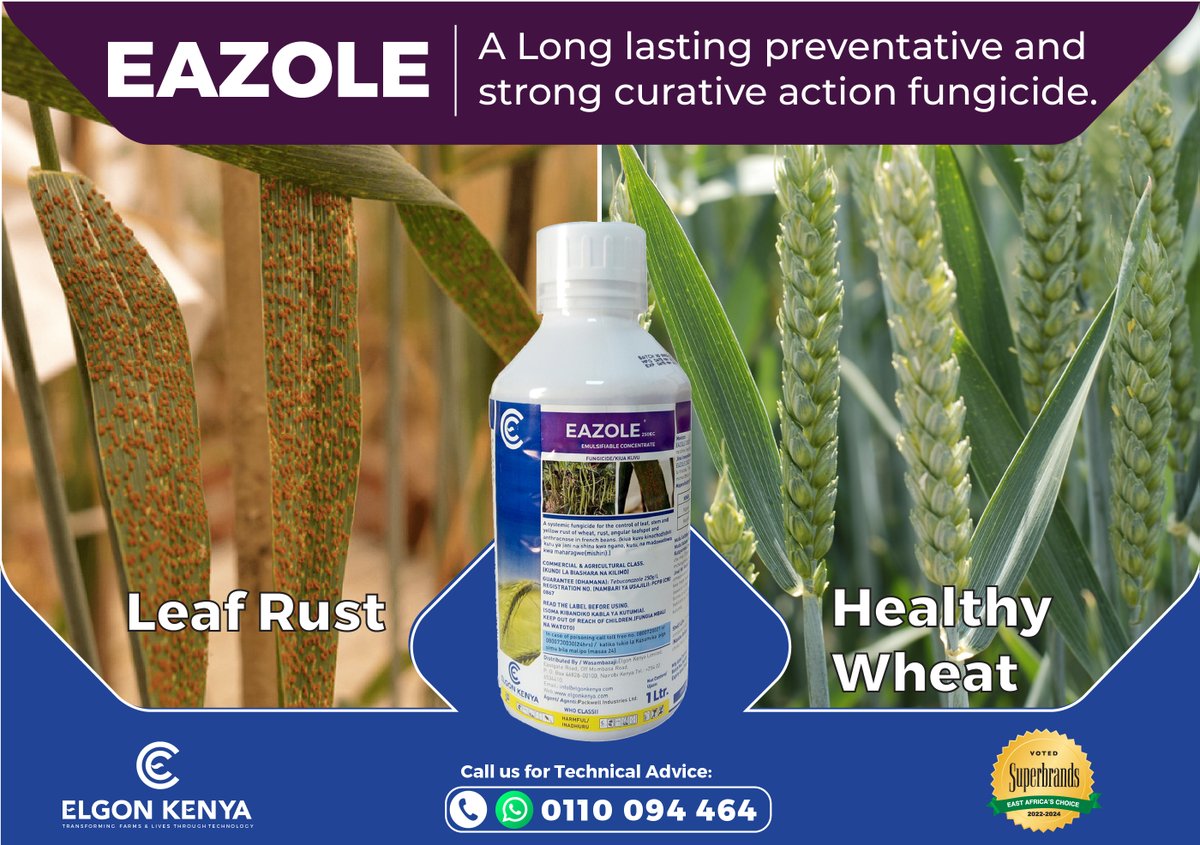 Wheat Leaf Rust is the single most devastating disease for wheat growers. To eradicate leaf rust use 𝐄𝐀𝐙𝐎𝐋𝐄 𝟐𝟓𝟎 𝐄𝐂 a curative and preventative treatment for your wheat. Call us now at 0110 094 464 to order. Available at your local distributor. #KOT #KOX #Wheatfarmers