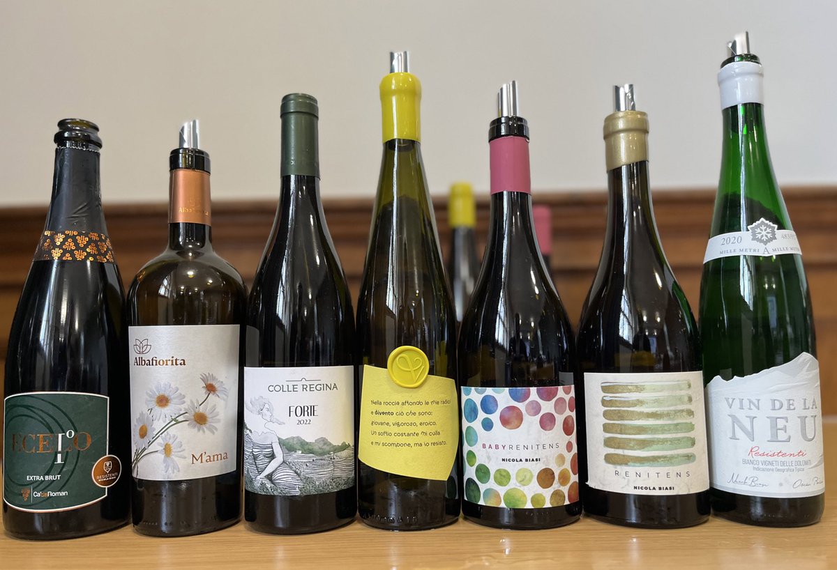 PIWIs - are they the future of wine?! 🤔🍷🍇❓Is this something you’re aware of? Something you have strong opinions about? Have you had any good ones, or know of exciting cutting-edge research on the subject? If so we’d love to hear from you…it’s for a podcast, you see 🙏🤣🎙️🍷