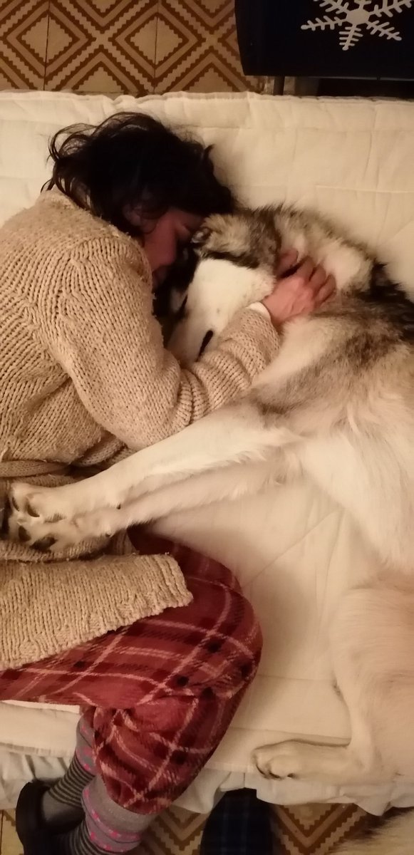 Com s'estimen les meves dues princeses..
🐺💓🙆🏻
Aviat el retrobament..!!
🐺💓👫🏻
#PepaWolf
<a href="/icaladero/">Ica Ladero 😜</a>