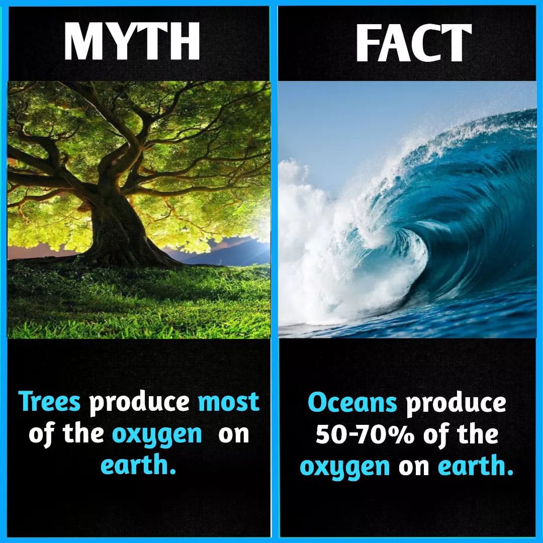 Myth Vs Reality (@MythVssReality) on Twitter photo 2024-03-27 08:45:12