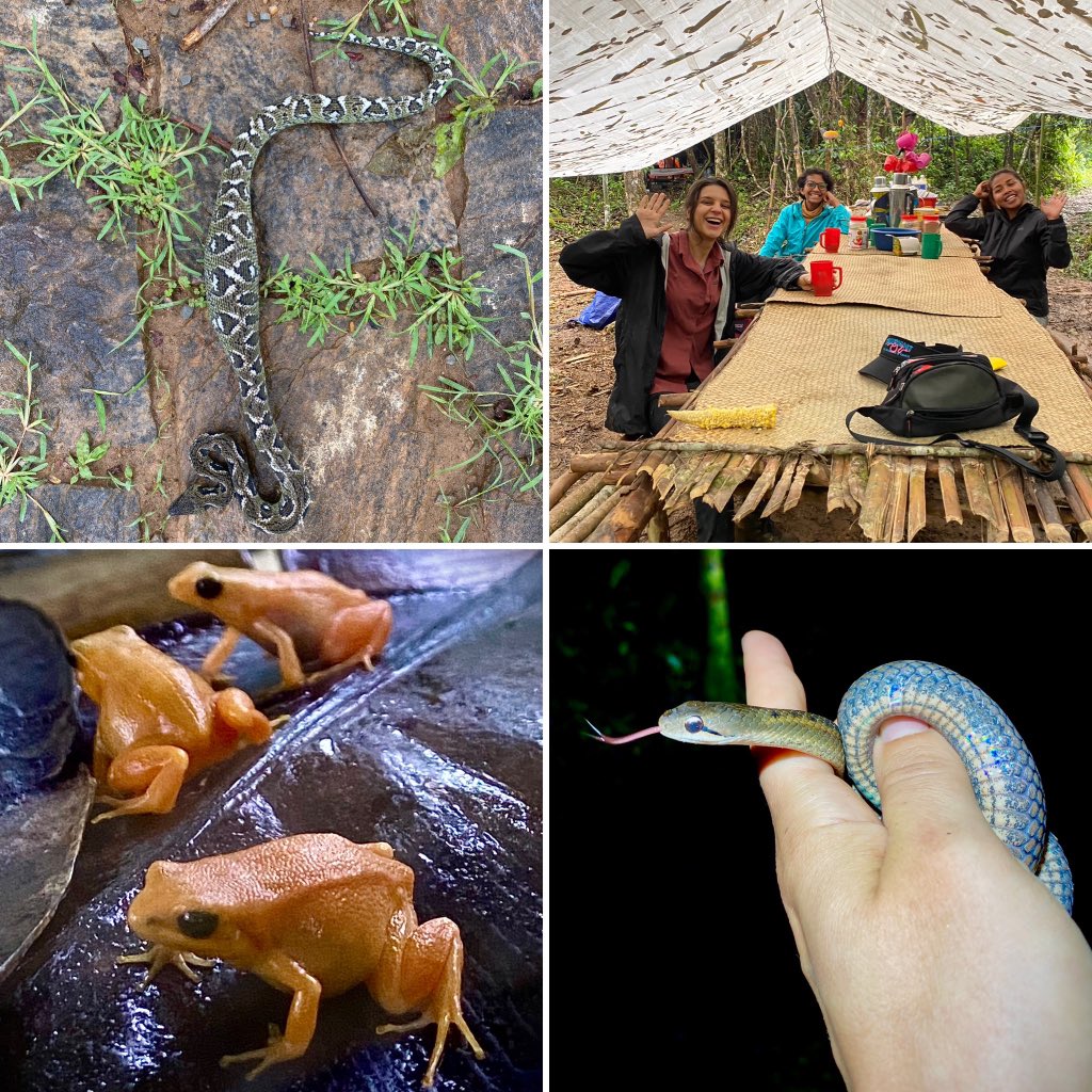 Field fun in Madagascar with <a href="/PseudohajeSci/">Arianna Kuhn</a> and <a href="/FandresenaRak/">Fandresena Rakotoarimalala</a> <a href="/FieldMuseum/">Field Museum</a>