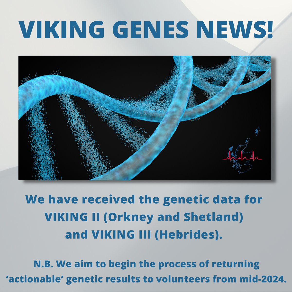 Viking Genes news! We have received the genetic data for our Viking II (Orkney and Shetland) and Viking III (Hebrides) studies and aim to begin the process of returning actionable results to volunteers from mid-2024. Read our policy on RoR below: 👇 viking.ed.ac.uk/for-viking-gen…