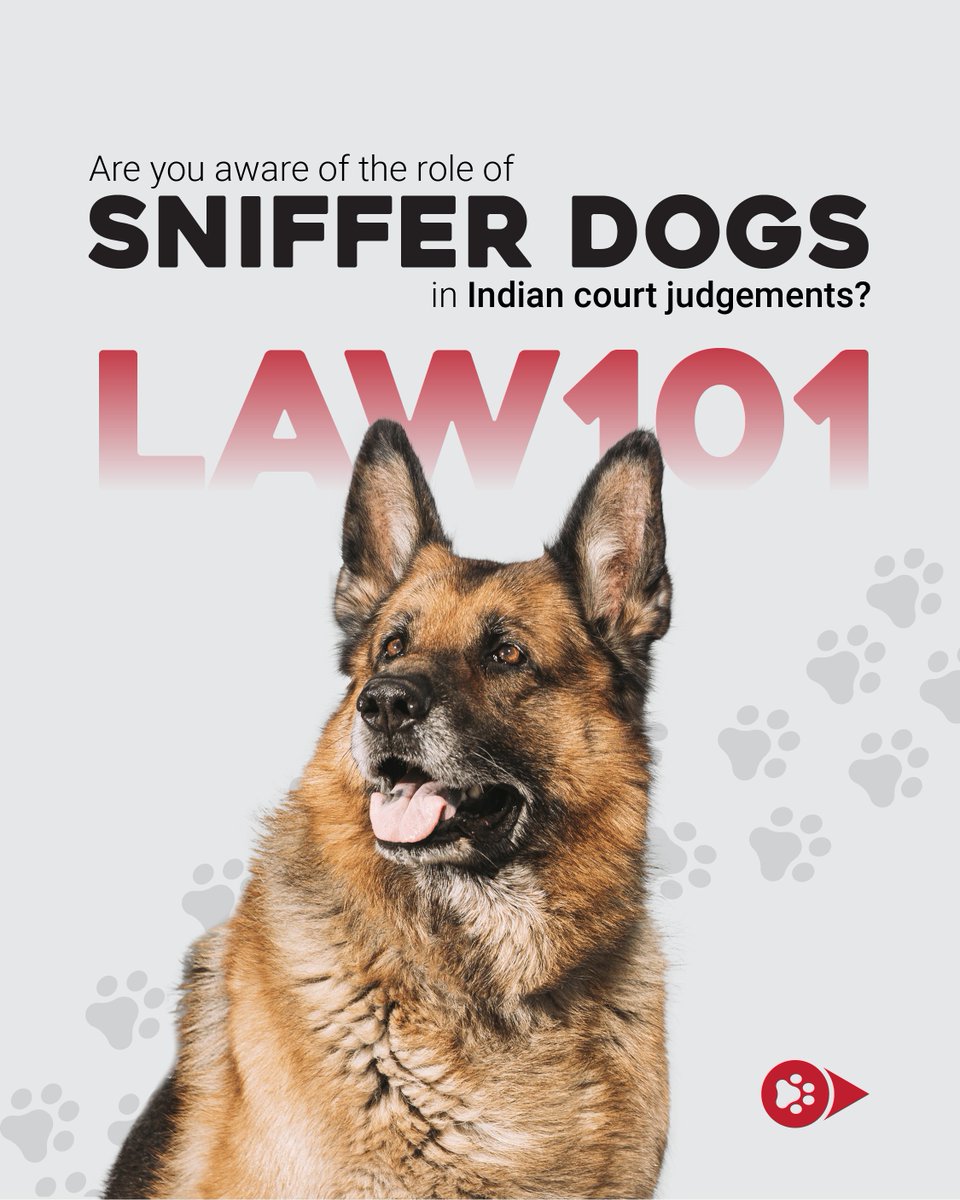 RvilsLaw's tweet photo. In India, sniffer dog evidence is admitted under Section 45 of Indian Evidence Act, 1872. However, its reliability in court is questioned and requires scrutiny. Their credibility is subjected to thorough judicial review to uphold legal integrity and fairness.
#Law101 #RVILS https://t.co/Gs7CfOIM3W