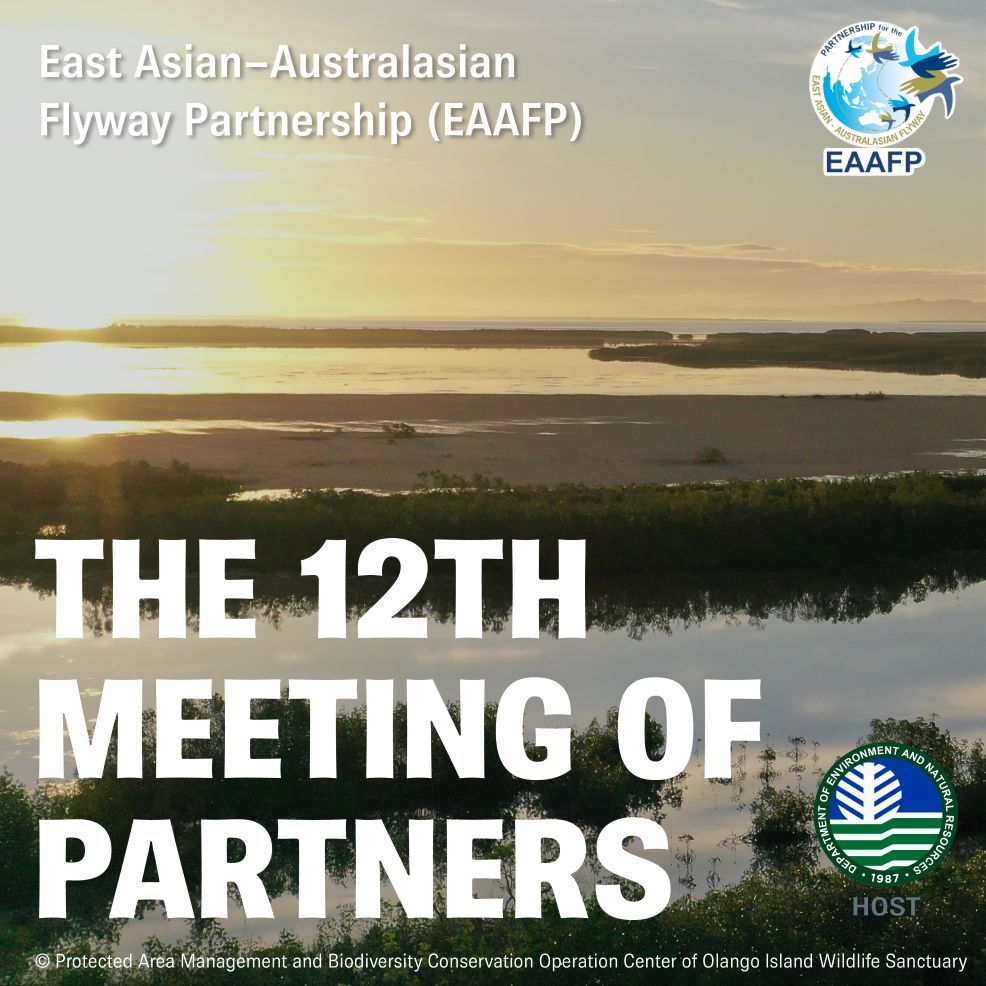 🚨 The Republic of the Philippines will host #MoP12 in November 2025, marking the first time the event will be held in the country. Learn more Philippines' commitment to conserving #migratorywaterbirds and their habitats here: buff.ly/495YGlT #EAAFP #Philippines