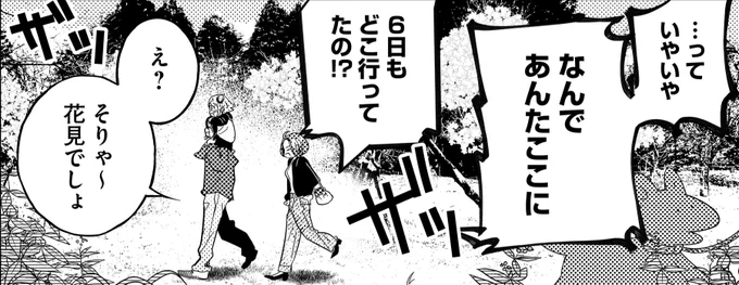 お花見の季節🌸 