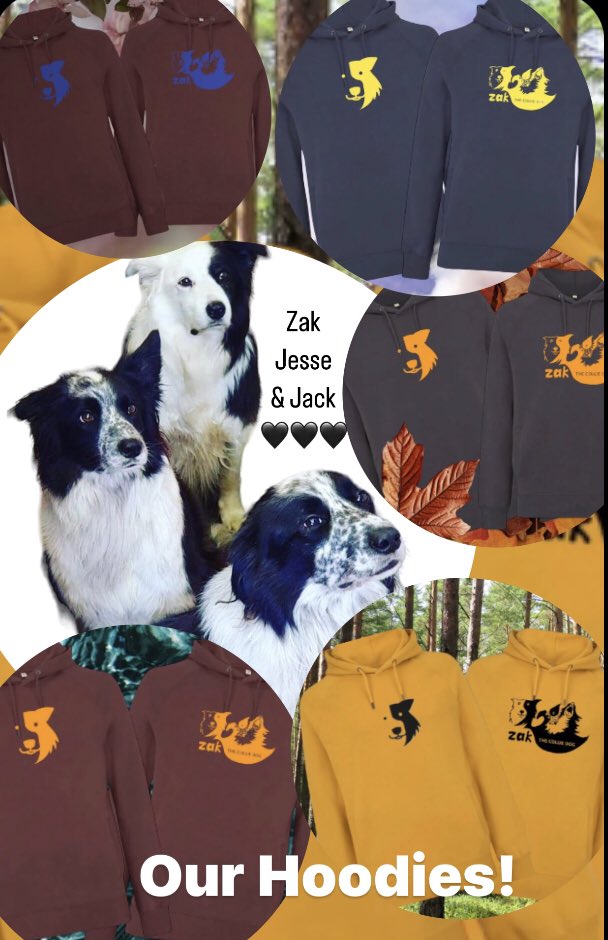 OUR Hoodies! OUTDOORS : SUPERSTAR : INSPIRING : JOY : ADVENTURE Perfect for a drop in temperature! 🥶 FREE DELIVERY too! 🖤 Zak, Jesse & Jack 🖤 Screen printed by Mr H at #zakthecolliedog HQ. #zakthecolliedog #jessedog #jackthelad @BCTGB @CherrydidiUK