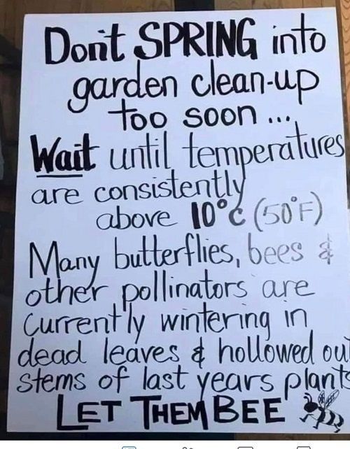 NicolaWorkman's tweet photo. #WednesdayWisdom #Spring #Butterflies #Bees #Pollinators https://t.co/BIvCfyYdBv