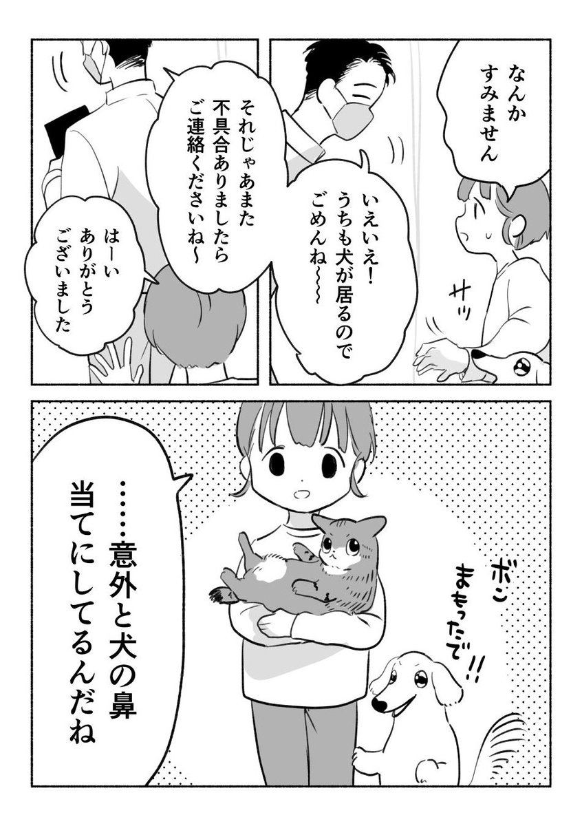 犬の信頼 2/2 