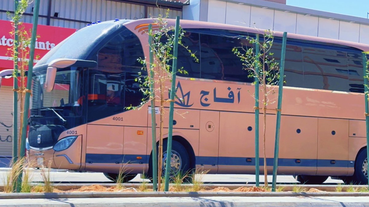 obidaloni's tweet image. من الاخطاء ان تزرع شجر ضخم في المستقبل متقارب  اقل من متر  الا اذا انت اردت سواتر  لا تقلم الا على الجوانب من اجل يصبح عندك مثل الجدار  مثل شجر اللوز الهندي الطلح الملحي لكن ان فكرت تصبح مظلية لابد ان تبعد عن الاخرى مسافة اقل شي ٥ متر  لكن البعض يرغب ان تتشابك في الظل نفس الغابة