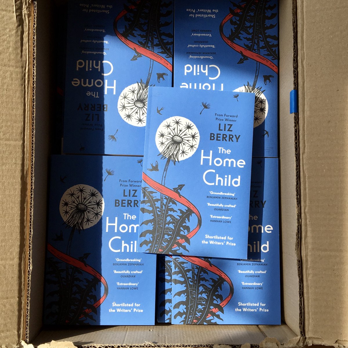 Pretty little paperbacks coming 4th April. You can order here or through a bookshop or library that you love 💙 penguin.co.uk/books/438568/t… @ChattoBooks @vintagebooks