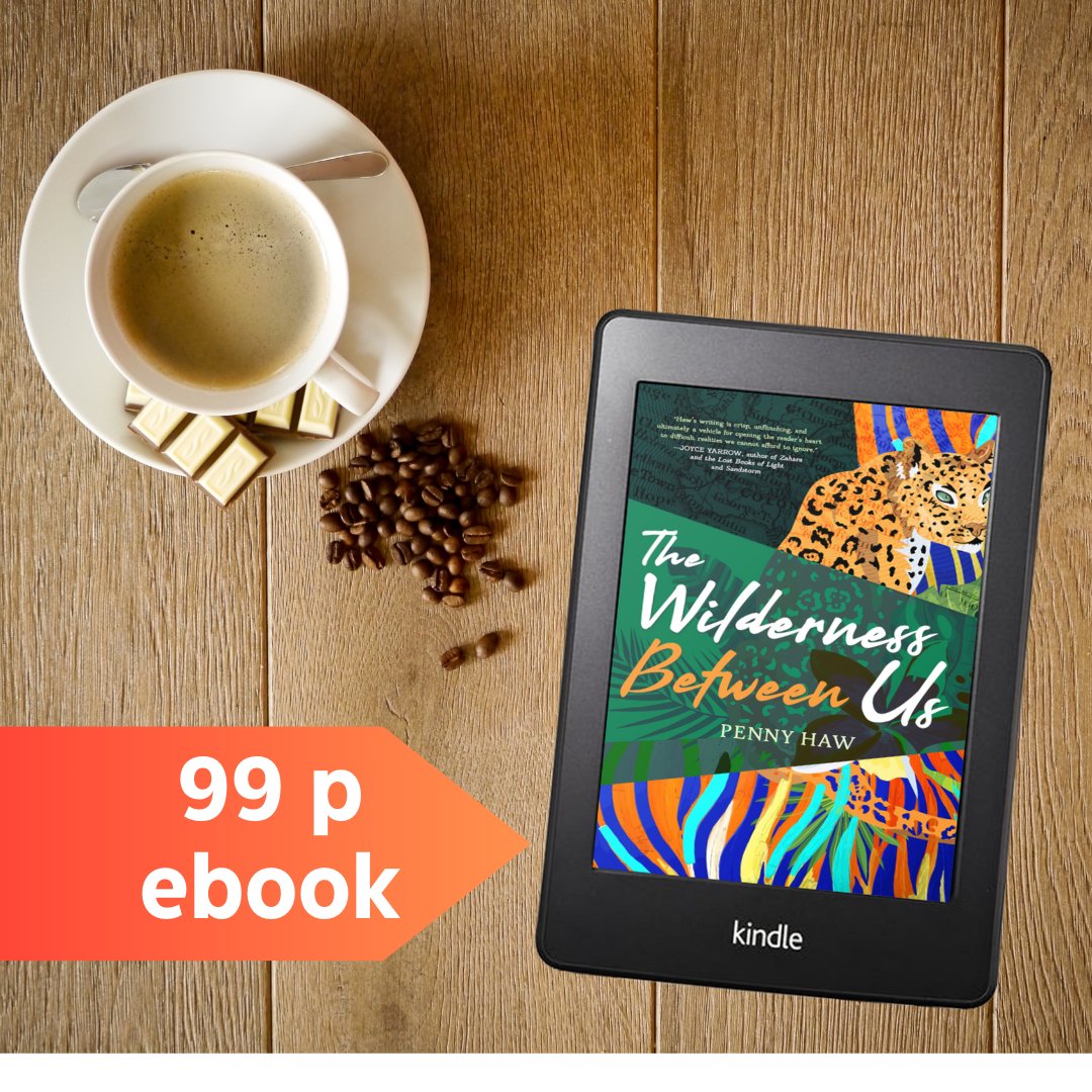 The #ebook version of my contemporary fiction, THE WILDERNESS BETWEEN US is now available for just 99p from Amazon UK. Set in the Tsitsikamma in South Africa, it tells the story of a hike gone wrong for a group of old friends. The novel won the 2022 @WF_Writers STAR Award.