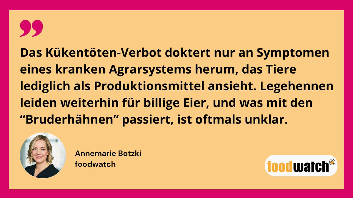 Drei Gründe, warum das Kükentöten-Verbot kaum ein Fortschritt für den Tierschutz ist: foodwatch.org/de/kuekentoete…