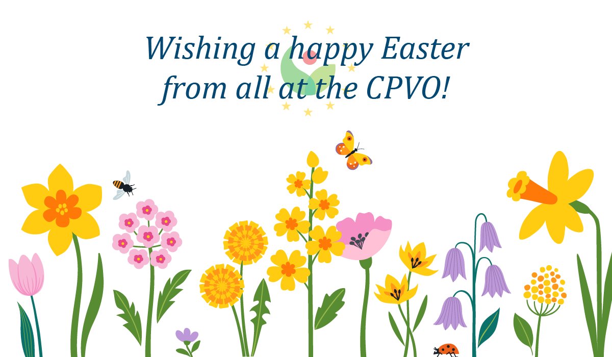 💐 Well wishes this Easter from the CPVO! 💐 💚 During this time, try to take a moment to appreciate the great range of flowers associated with this season, as well as the time and effort plant breeders put into making these varieties a reality. #CPVR #PlantBreeding
