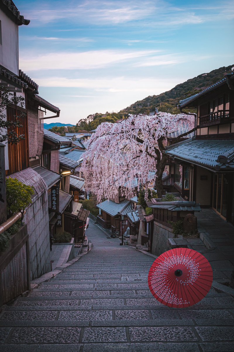 これから数年は見れない剪定前の産寧坂が美しいく懐かしい。