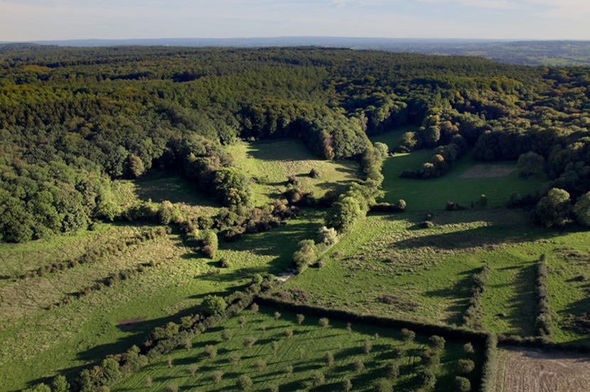 3% van onze huidige bossen en houtwallen bestaat uit inheemse bomen en struiken. In de docu Eeuwige Bossen, die gisteren bij de RCE in première ging, is te zien waarom het belangrijk is om hier zuinig op te zijn. Meer info: eeuwigebossen.nl #cultuurlandschap #erfgoed