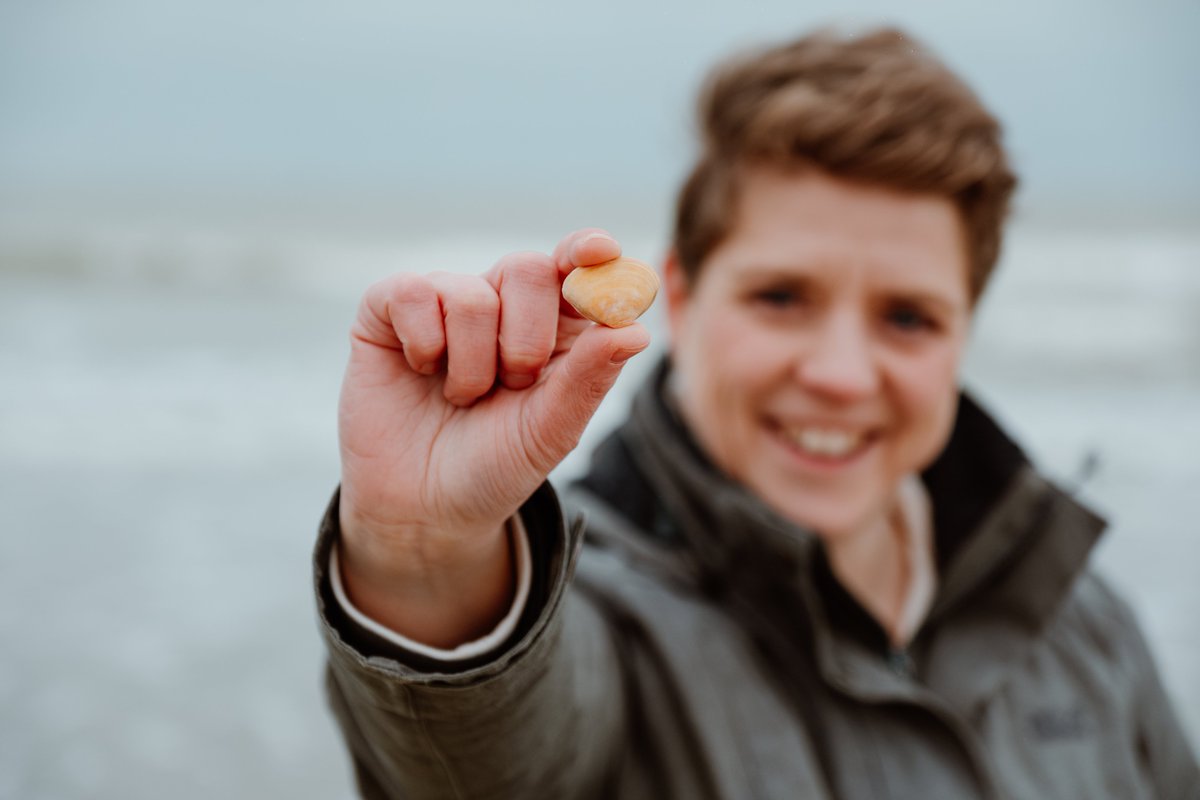 This past Saturday, over 2000 passionate citizens united on the Belgian 🇧🇪, French 🇫🇷 and Dutch Coast 🇱🇺 for the seventh edition of the Big Seashell survey. Together 110.000 shells of 77 species have been counted on 400 km of coast. The most counted species were the cut through…