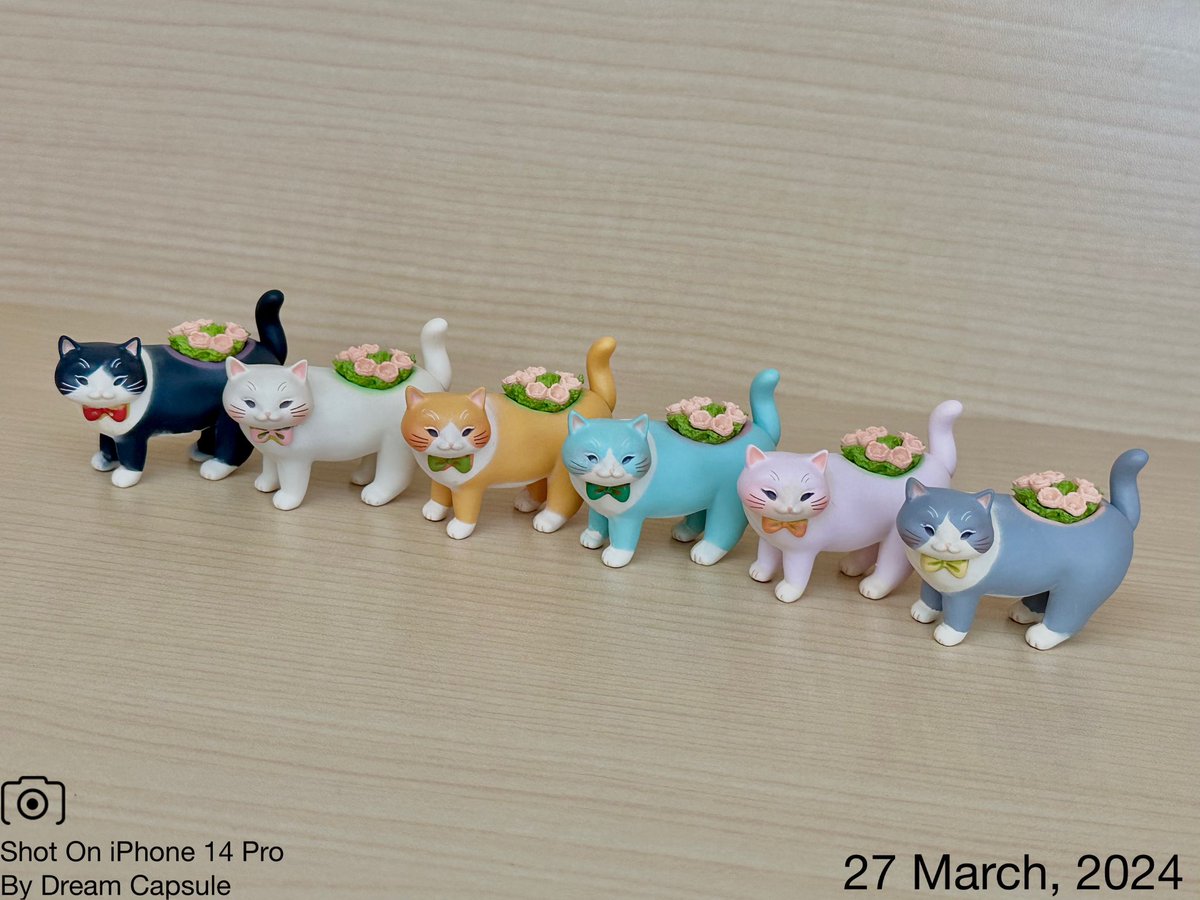 ?新入荷ガチャ商品プレゼントCP? 可愛い猫のプランターがカプセル 